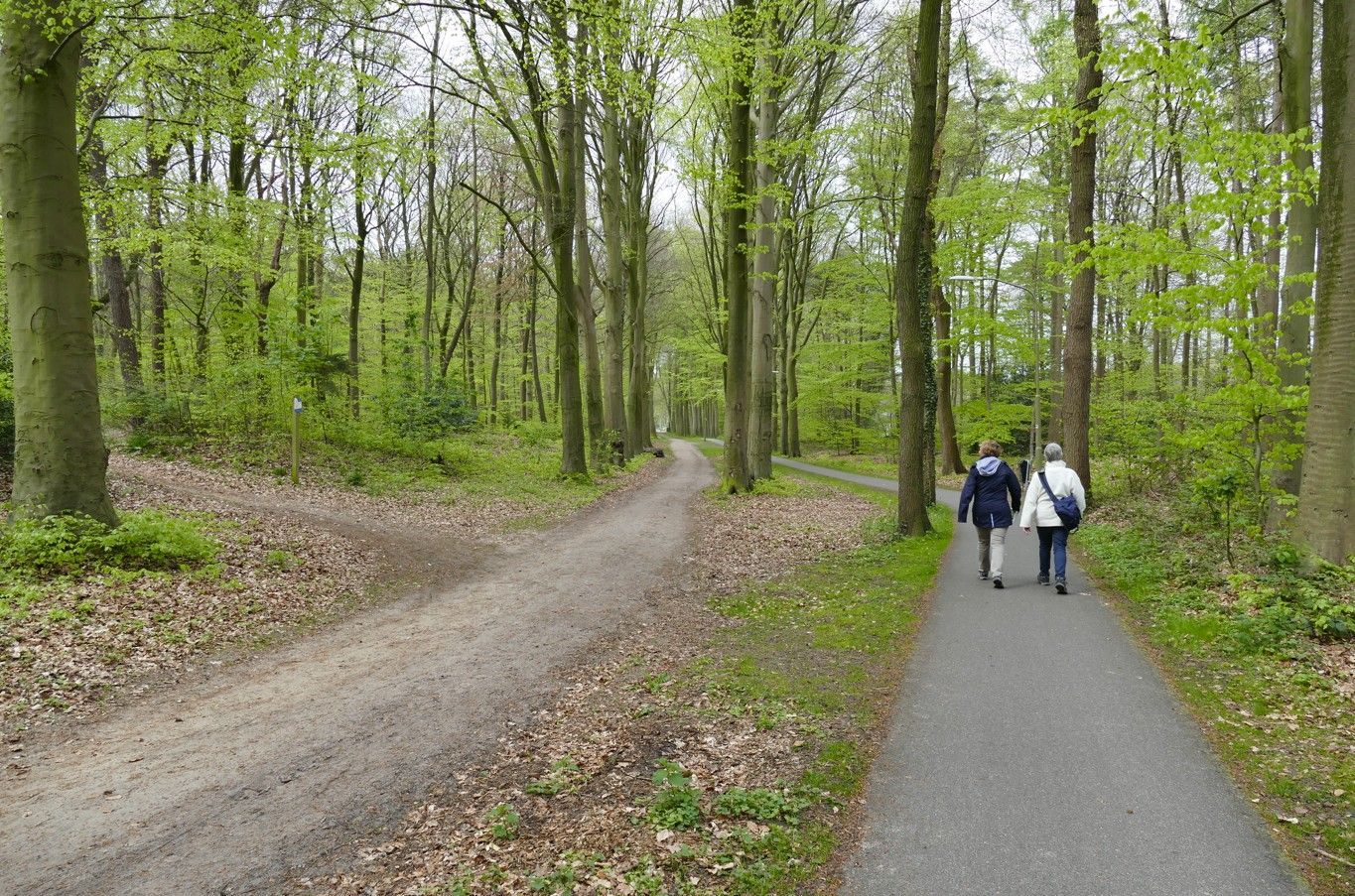 Twee mensen lopen over een verhard pad in een bos. Links daarvan loopt een onverhard pad.