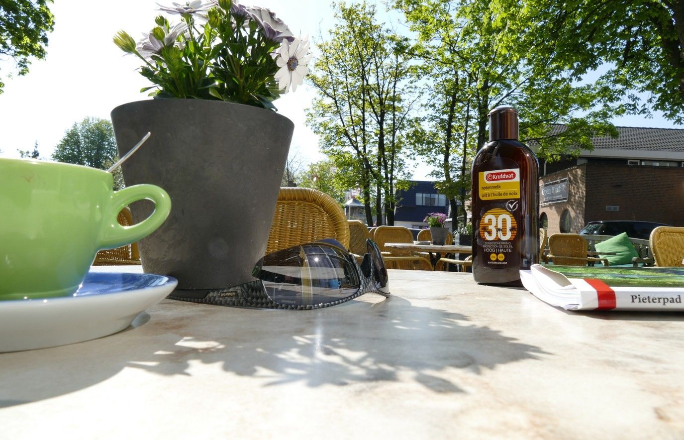 Buitentafel met koffiekopje, potplanten, zonnebril, zonnebrandcrème en boek.