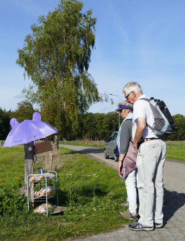 Twee mensen staan ​​op een pad en kijken naar een klein kraampje langs de weg met waren onder een paarse parasol.