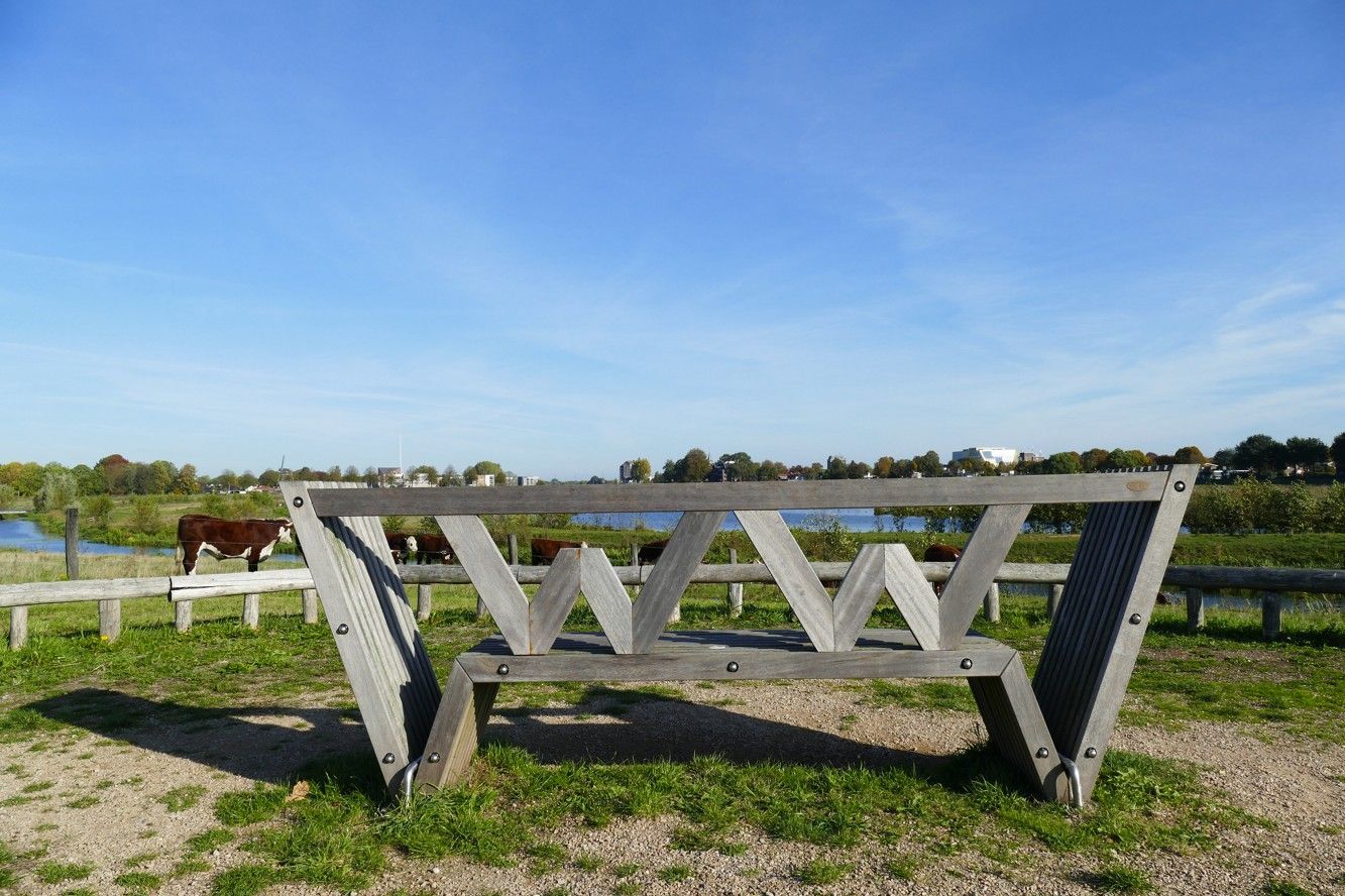 Een houten bank met een zigzagvormige W-rugleuning, gelegen op een grasveld aan een rivier met koeien op de achtergrond.
