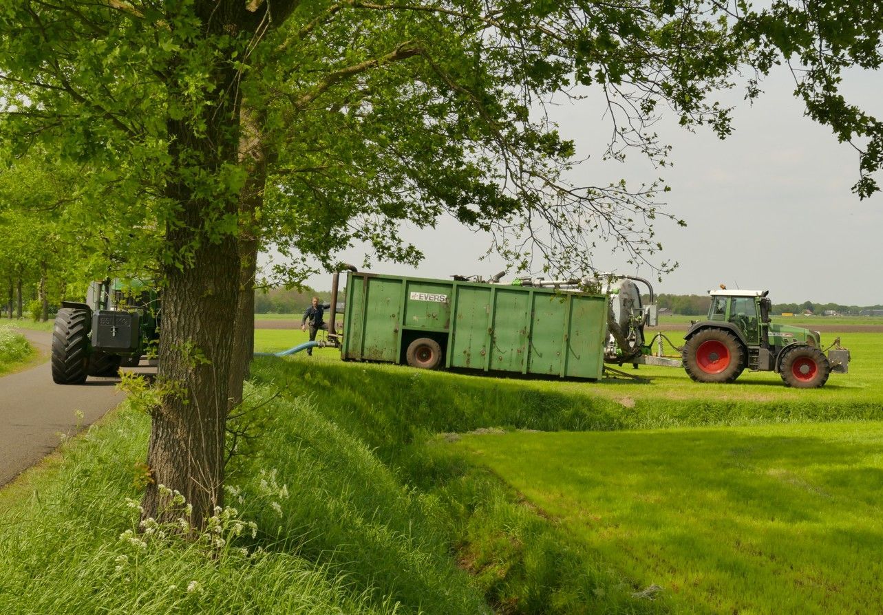 Twee tractoren, waarvan er één een groene aanhanger trekt, op een grasveld naast een weg en een boom.