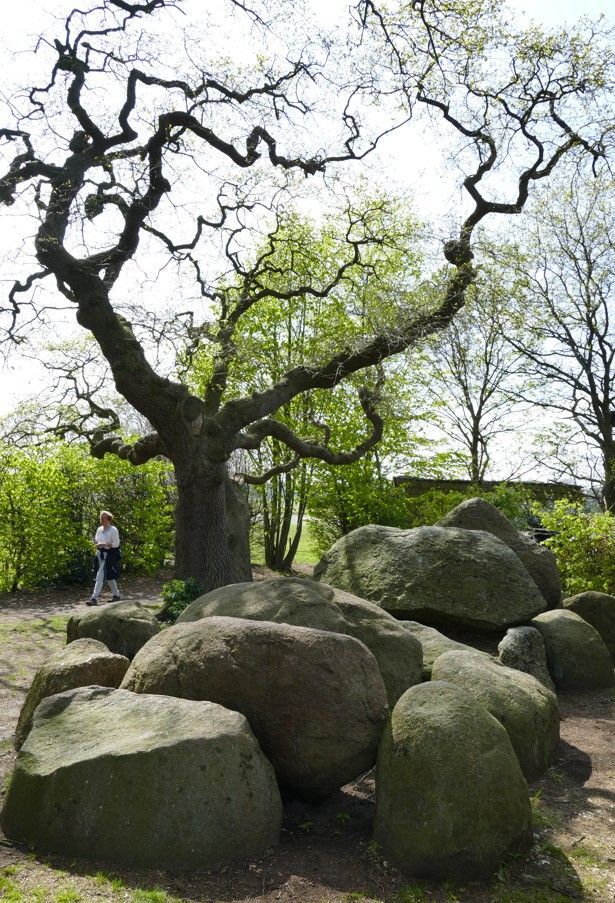 Grote rotsblokken liggen dicht bij elkaar aan de voet van een knoestige boom; een persoon staat er vlakbij.