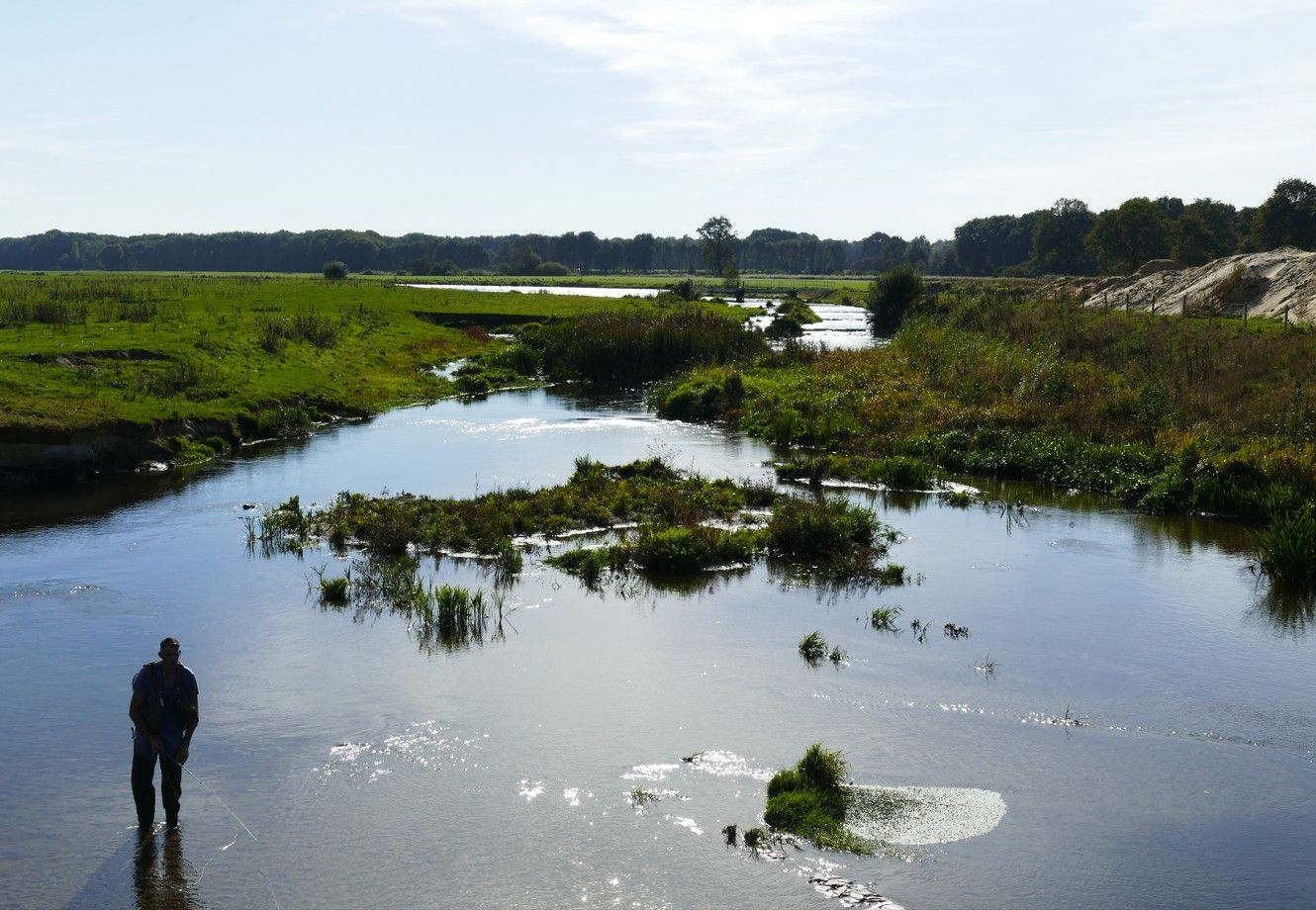 Een visser in een kalme, zonovergoten rivier die zich door een weelderig groen moerasgebied slingert onder een heldere hemel.