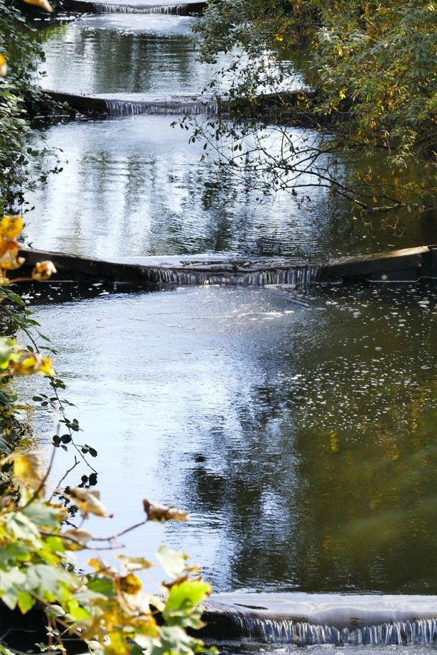 Een reeks kleine, trapsgewijs oplopende stenen stuwtjes creëert zachte watervallen in een kalme, spiegelende beekje.