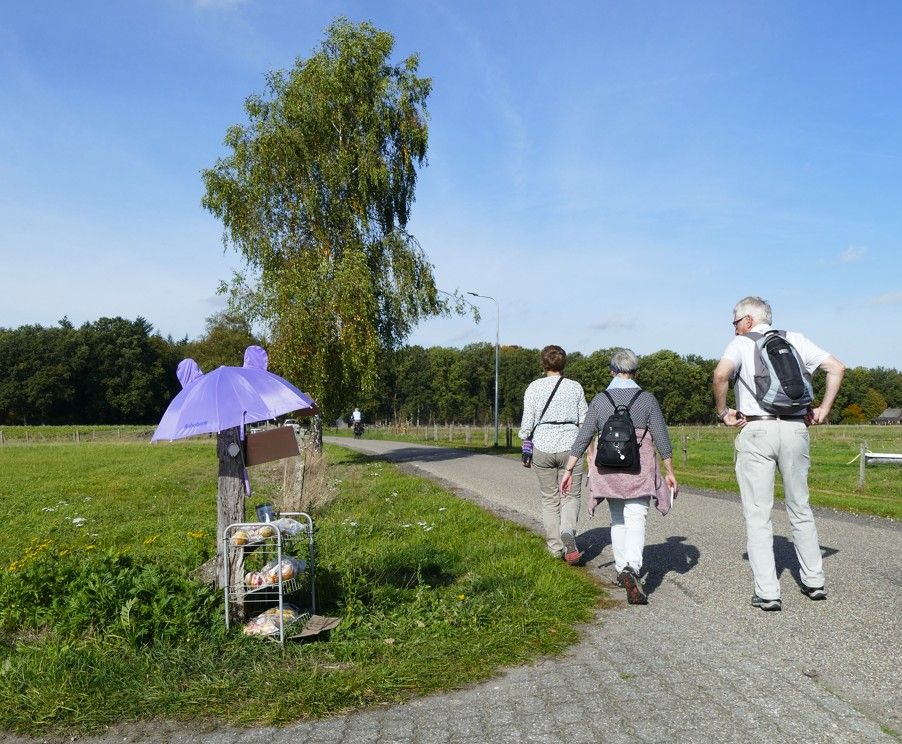 Drie mensen wandelen over een verhard pad langs een grasveld met een kleine, paarse, oorvormige paraplubak op een paal.