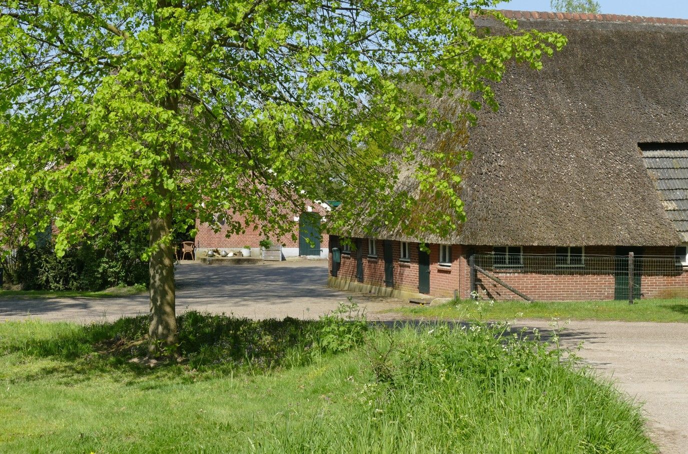 Een groot gebouw met een rieten dak op een zonnige dag, met een boom op de voorgrond.