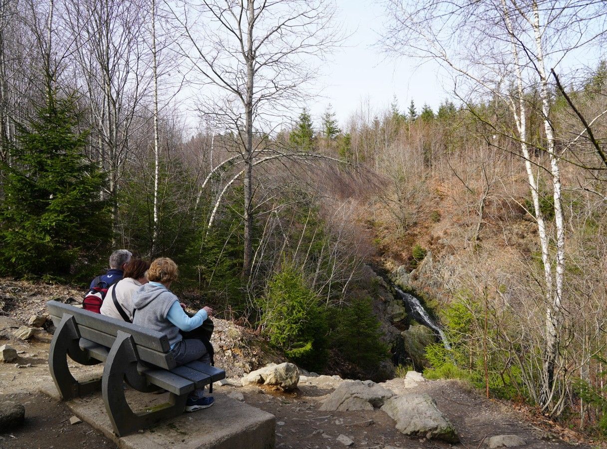 Twee mensen zitten op een bankje met uitzicht op een kleine waterval in een bos met kale berken en groenblijvende dennen.