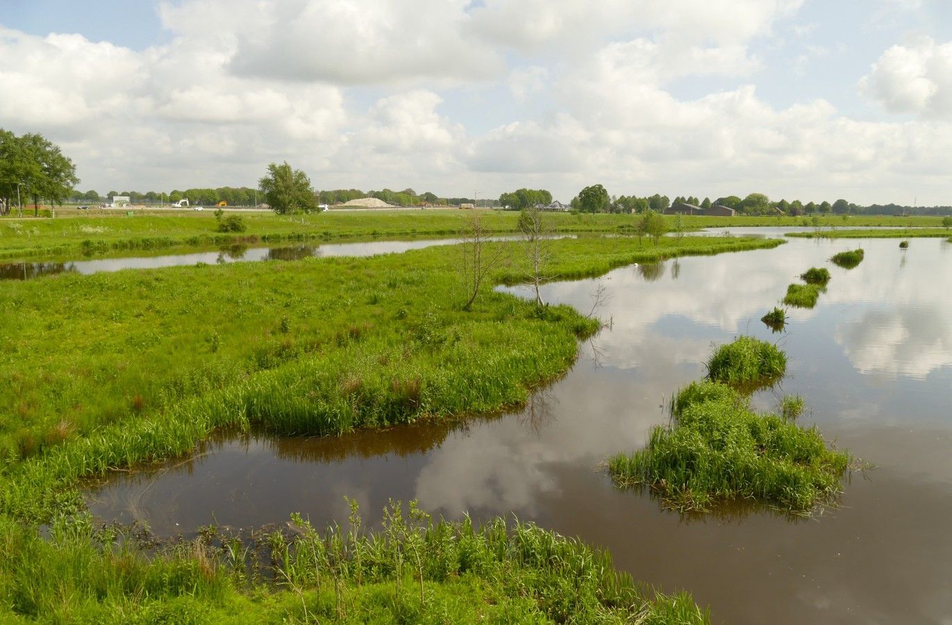 Een moeraslandschap met groene vegetatie, kalm water dat de lucht weerspiegelt, en een bewolkte dag.