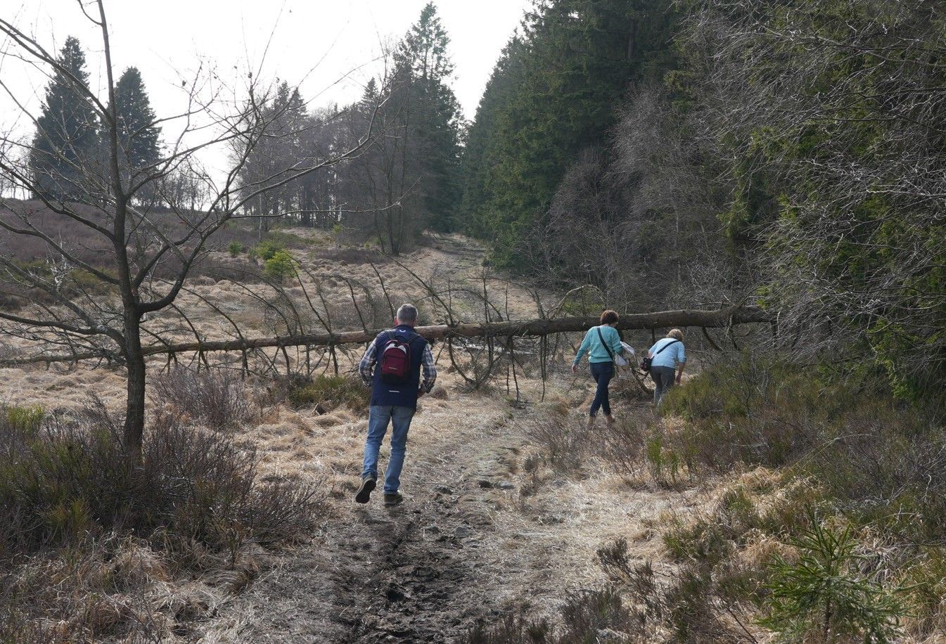 Drie mensen lopen over een onverhard pad door een bosrijk gebied, waarbij een omgevallen boomstam hun pad blokkeert.