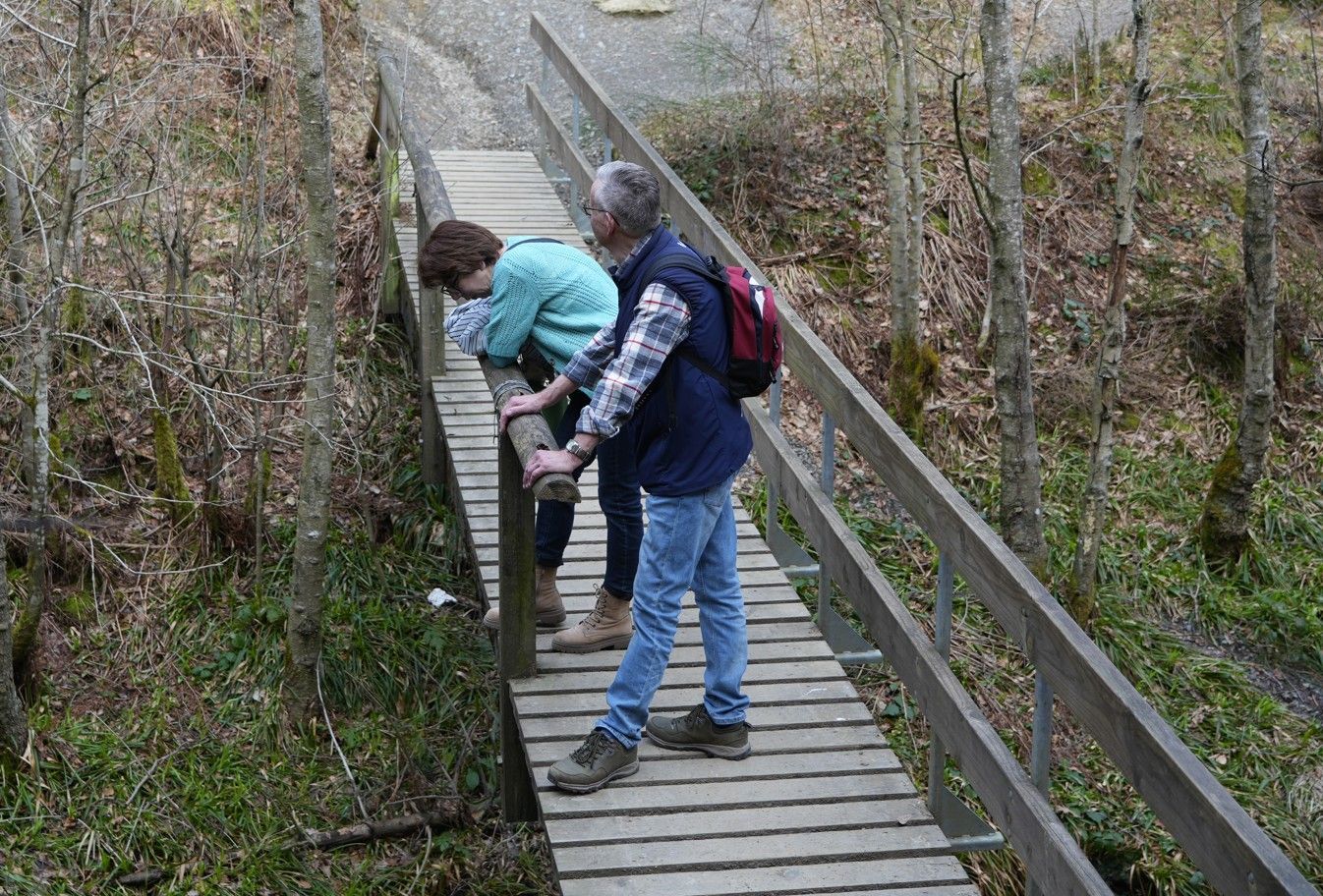 Twee mensen leunen over de houten reling van een vlonderpad en kijken naar het bos beneden.