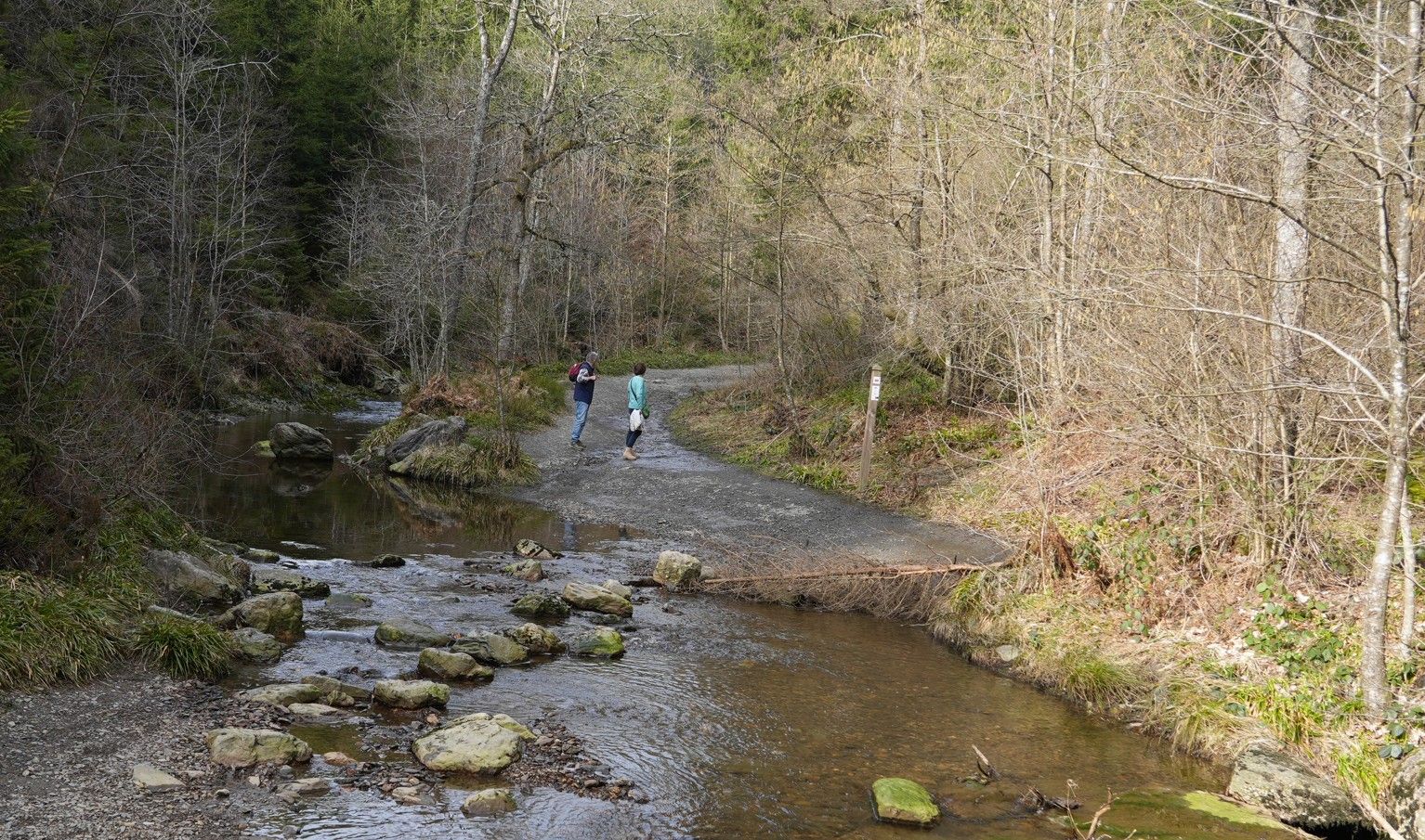 Twee wandelaars steken een ondiepe beek over op een rotsachtig pad door een bosrijk gebied tijdens de herfst.