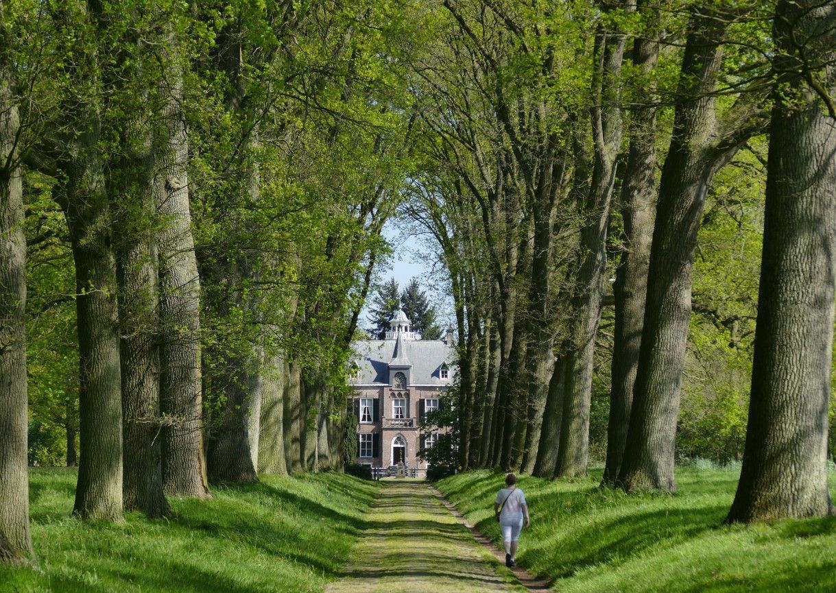 Op een zonnige dag loopt iemand over een met bomen omzoomd pad naar een statig stenen gebouw met een kleine toren.