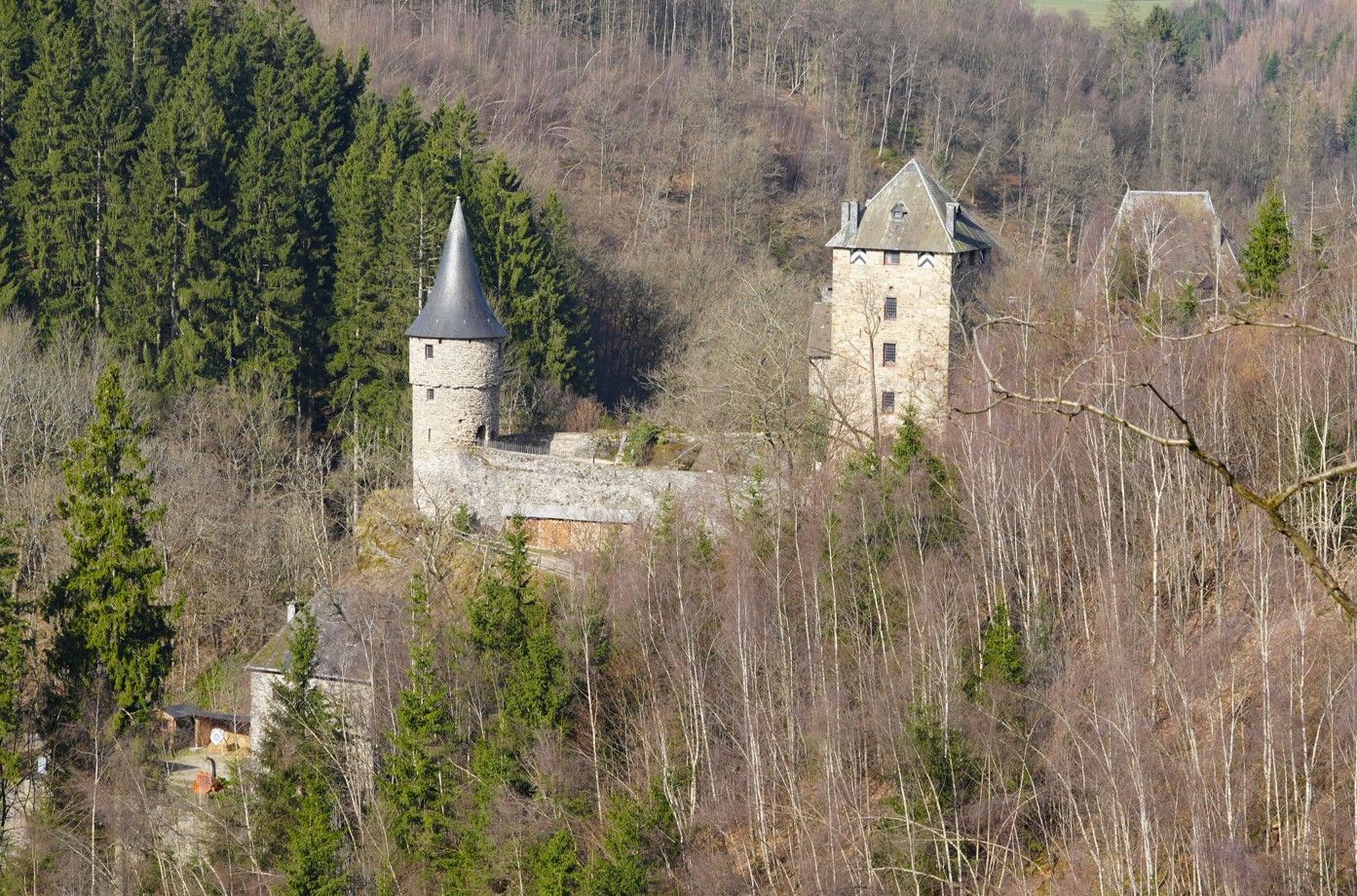 Een stenen kasteel met een kegelvormige toren en een puntgeveldonjon ligt verscholen in een bos op een beboste heuvel.