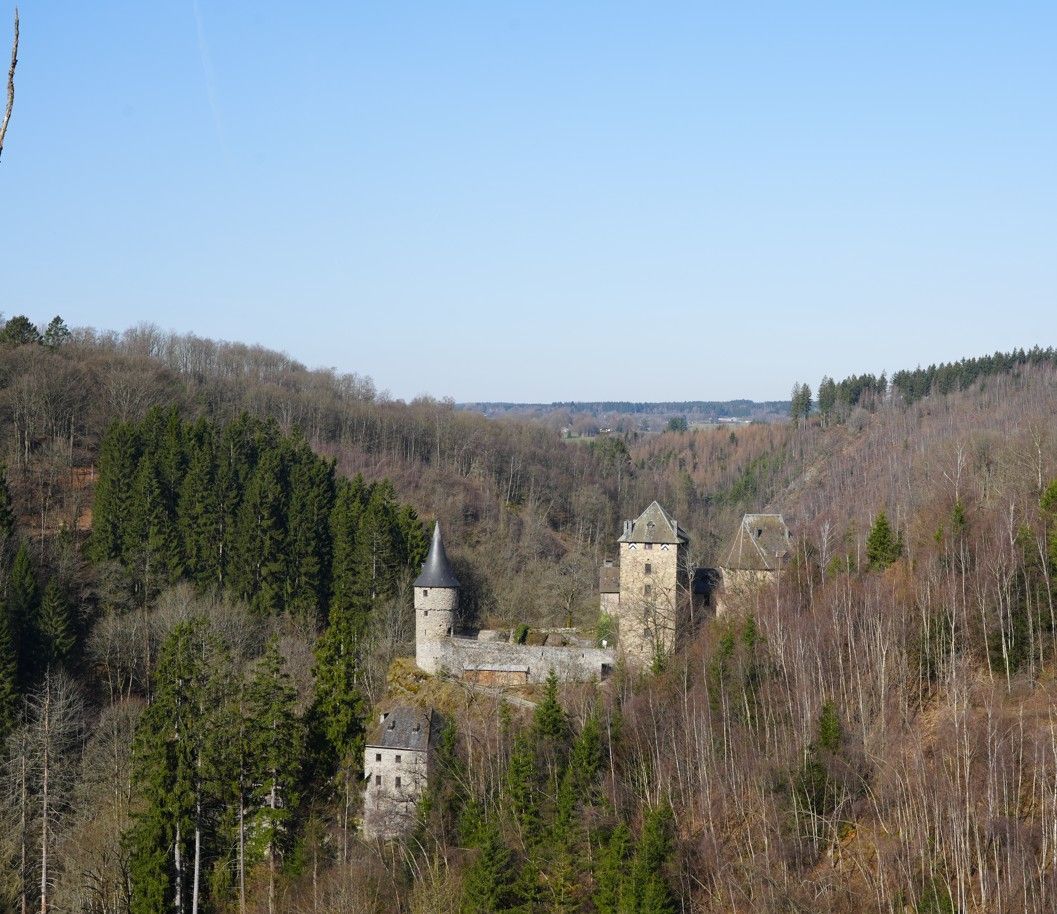 Een stenen kasteel met torens, verscholen in een dicht, deels kaal bos onder een helderblauwe hemel.