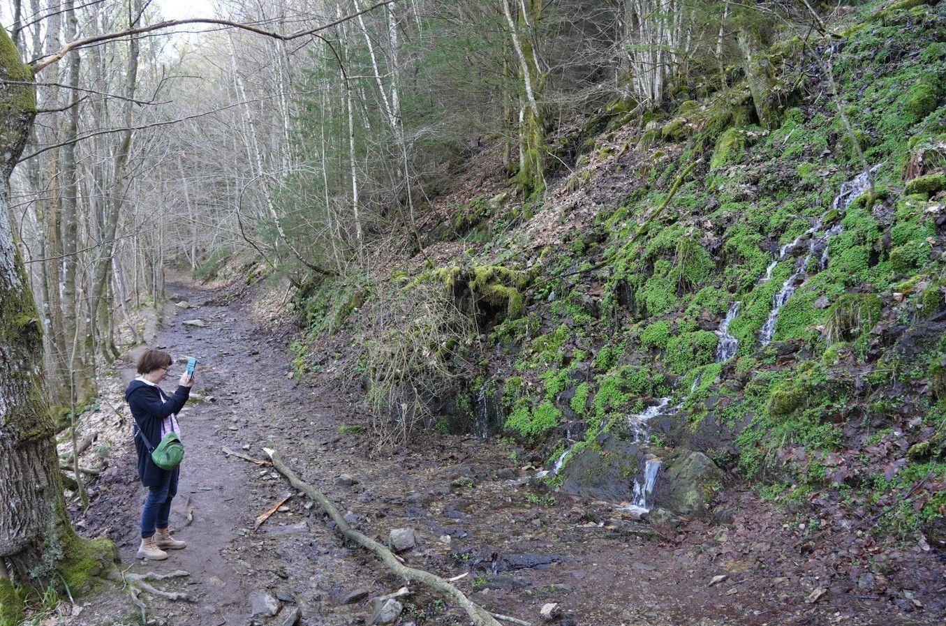 Een persoon staat op een bebost wandelpad en houdt een telefoon in de hand om een foto te maken van water dat langs een met mos begroeide rotswand naar beneden sijpelt.