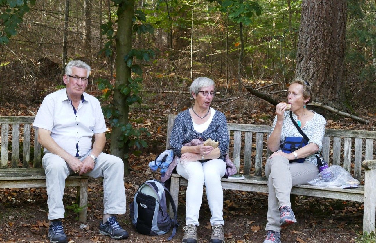 Drie mensen zitten op een houten bank in een bosrijk gebied en nemen een pauze met rugzakken en tassen.