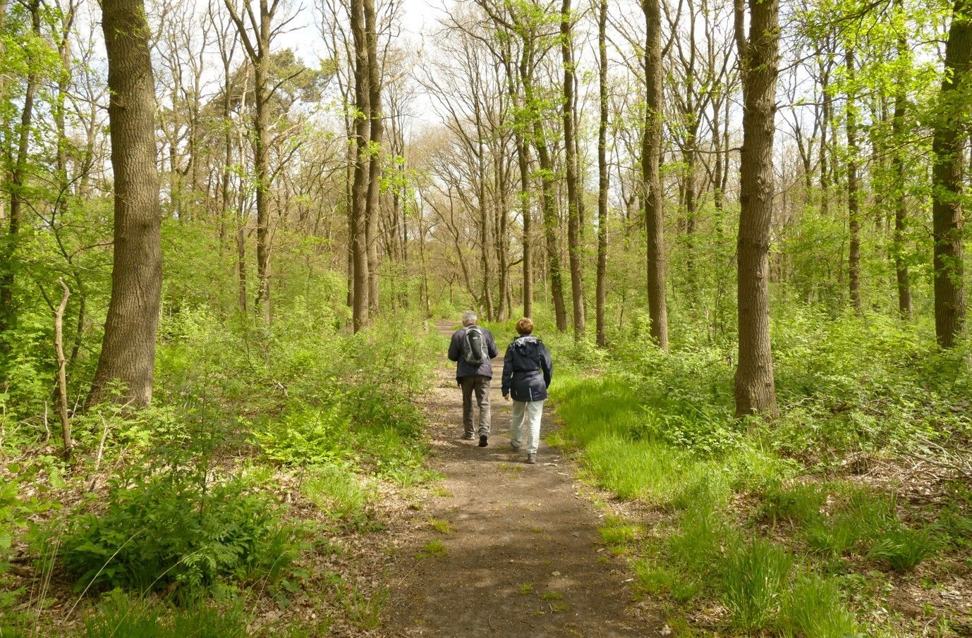 Twee mensen wandelen over een zandpad door een bos met groene bomen.