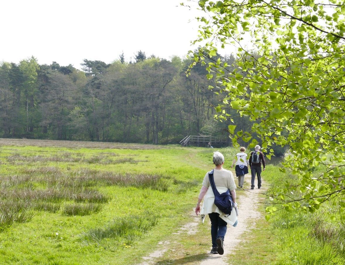Mensen lopen over een pad langs een veld. Groen gebladerte en bomen omzomen de rand van het veld.