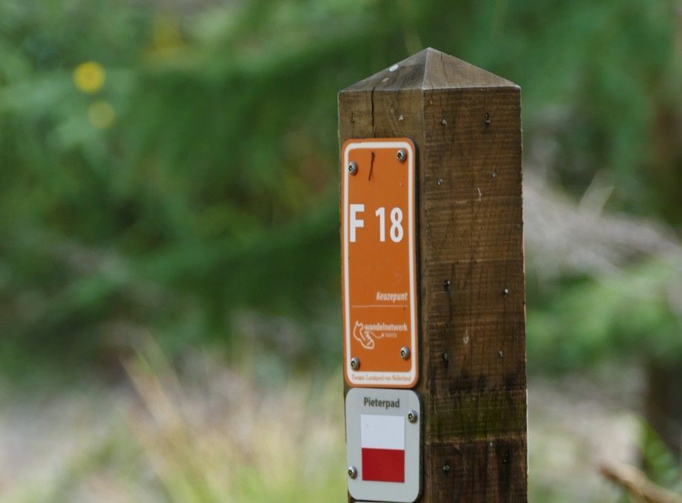 Een houten paal in een bos met een padmarkering waarop de tekst 