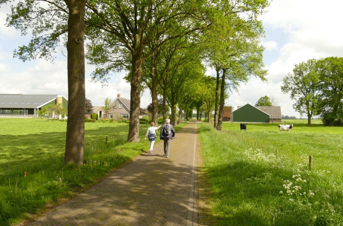 Mensen wandelen over een pad omzoomd door bomen en velden. Groen landschap, zonnige dag.