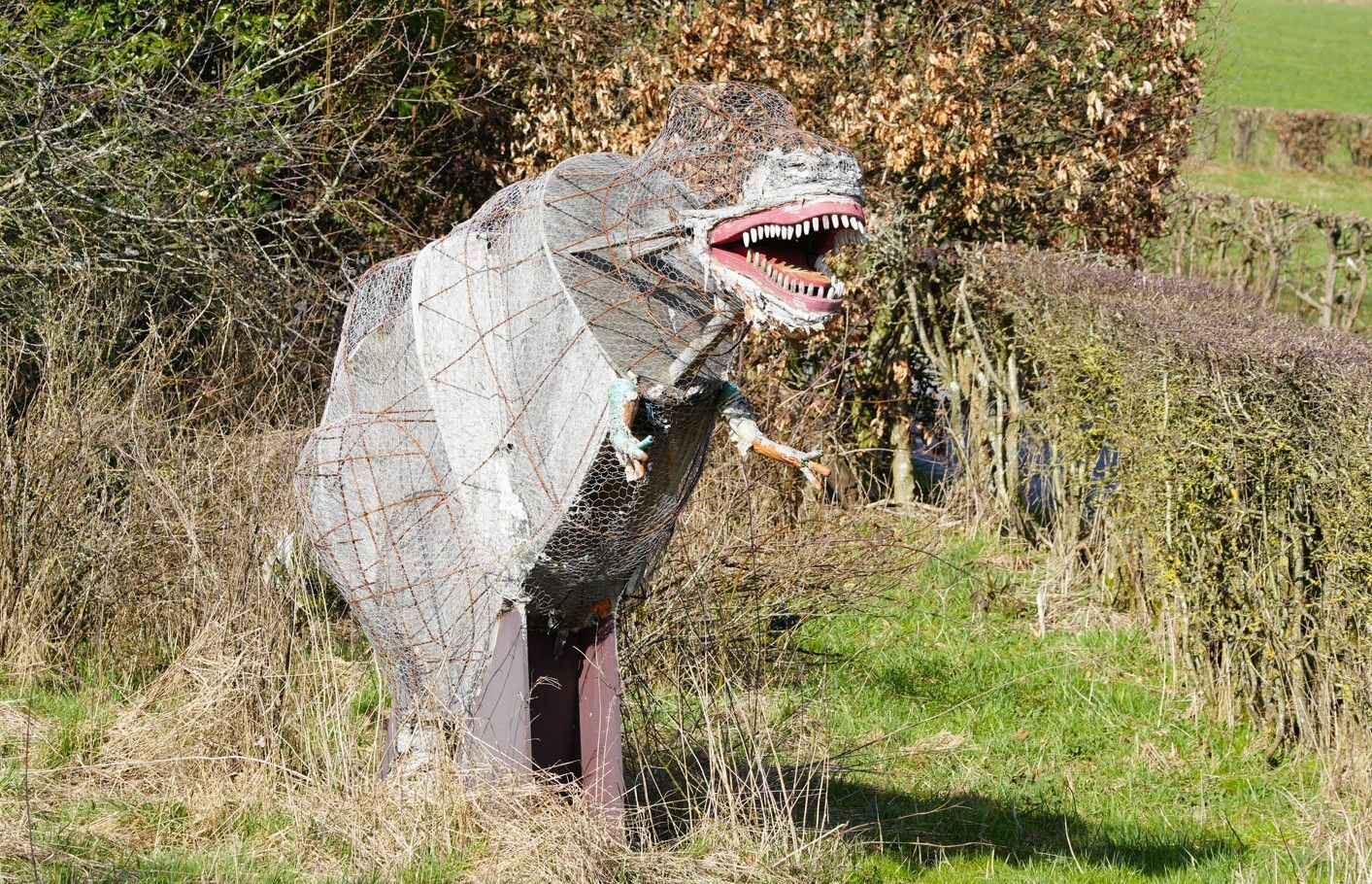 Een dinosaurussculptuur van gaas met een open, tandige kaak staat in een grasveld naast een heg.
