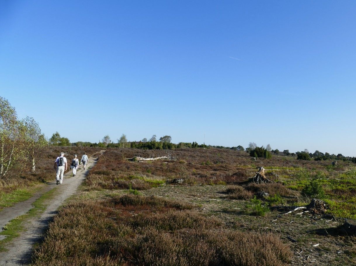Drie mensen wandelen over een zandpad door een vlak, bruin heidegebied onder een helderblauwe hemel.