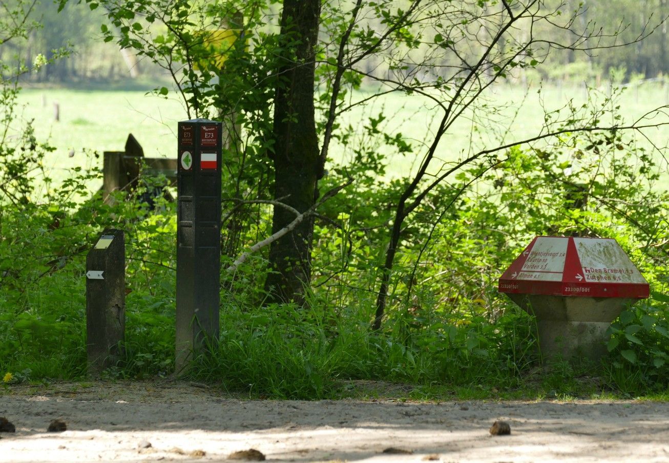 Wandelpadmarkeringen in een grasveld, met bomen en een rood-witte markering aan de rechterkant.