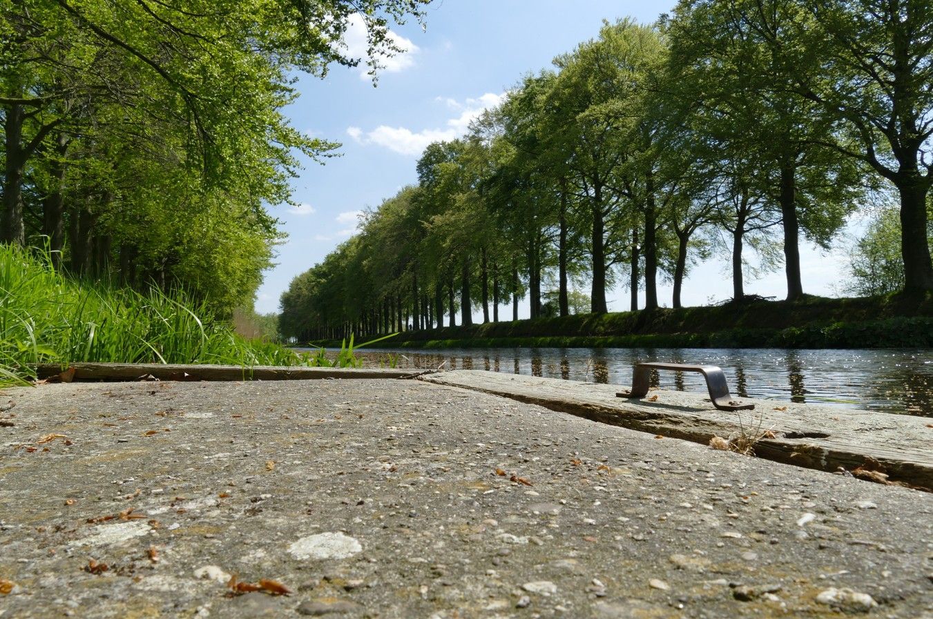 Een betonnen pad langs het kanaal, omzoomd door bomen op een zonnige dag.