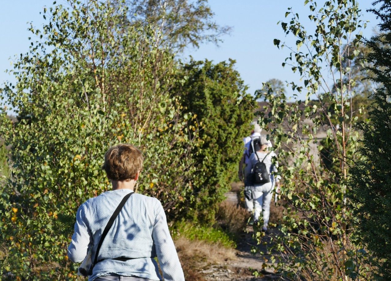 Een groep mensen wandelt op een smal pad door een bos met bomen en struiken op een zonnige dag.
