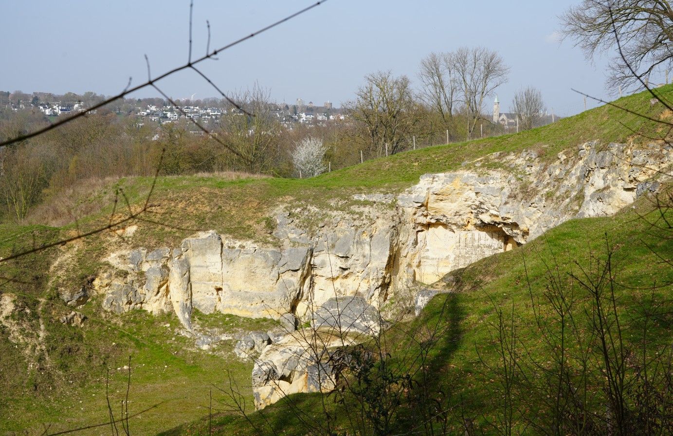 Een rotsachtige kalkstenen steengroevewand, omgeven door groen gras en bomen onder een helderblauwe hemel.