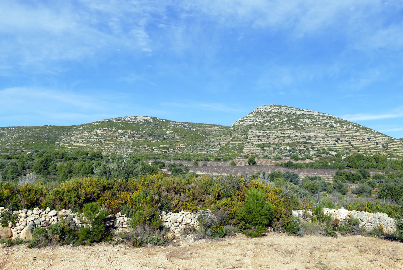 Glooiende heuvels bedekt met schaarse groene vegetatie, met stenen muren op de voorgrond en een blauwe hemel.