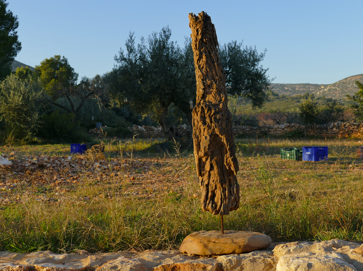 Een sculptuur van bruine boomschors op een stenen sokkel, buiten, met bomen en blauwe vuilnisbakken op de achtergrond.