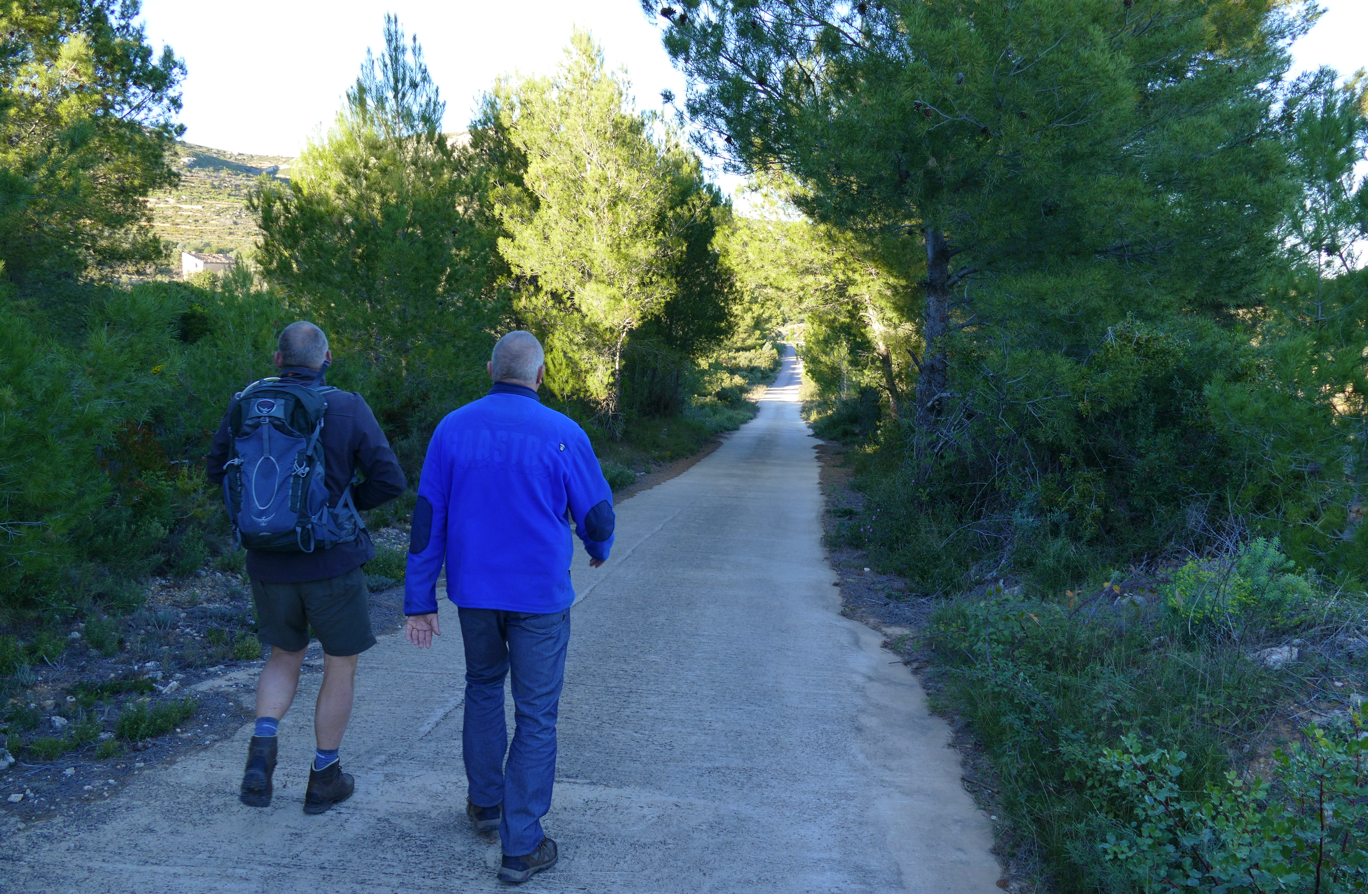 Twee mensen lopen op een zonnige dag over een geplaveid pad, omzoomd door bomen en struiken.