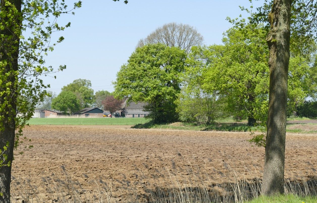 Geploegd bruin veld met bomen op de achtergrond onder een blauwe hemel.