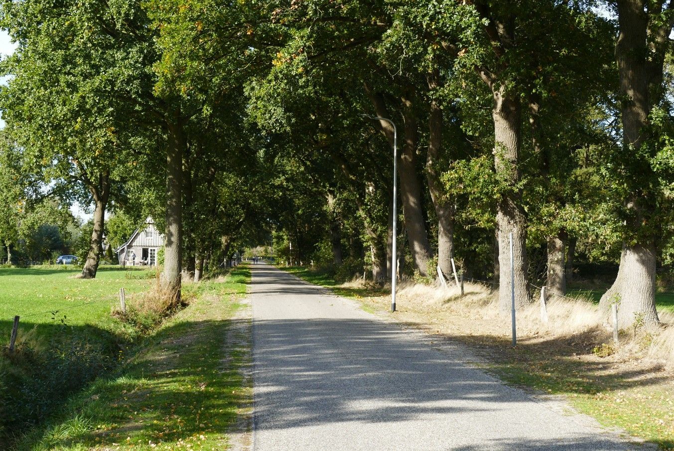 Een geplaveid pad slingert zich door een bladerdak van groene bomen, langs een grasveld en in de verte een huis.