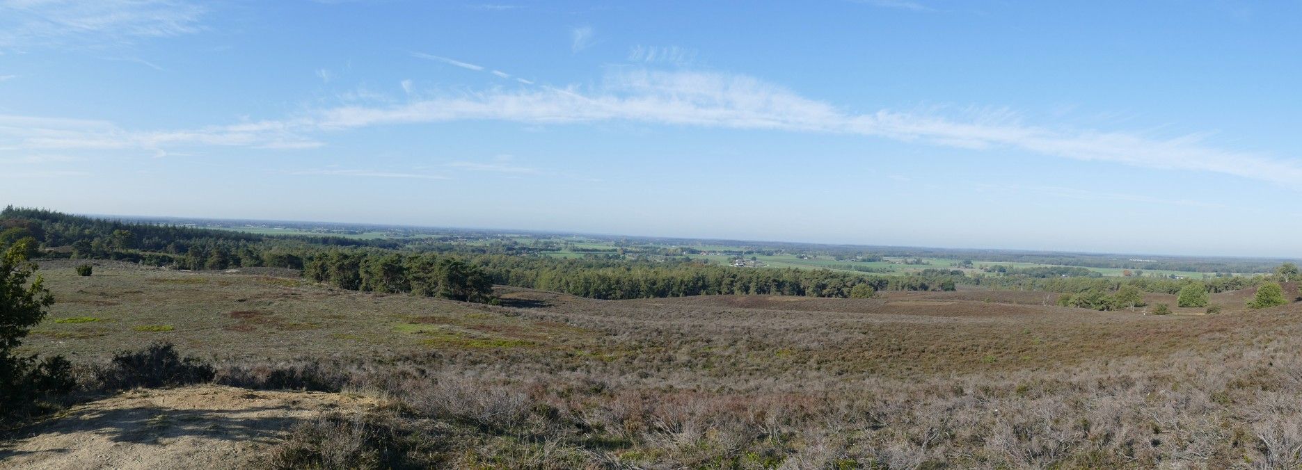 Een panoramisch uitzicht over een uitgestrekt heidegebied onder een blauwe hemel en een verre horizon.