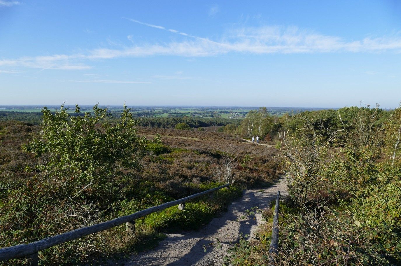 Een zandpad kronkelt door een bruin, struikachtig heidegebied en leidt naar een verre horizon onder een helderblauwe hemel.