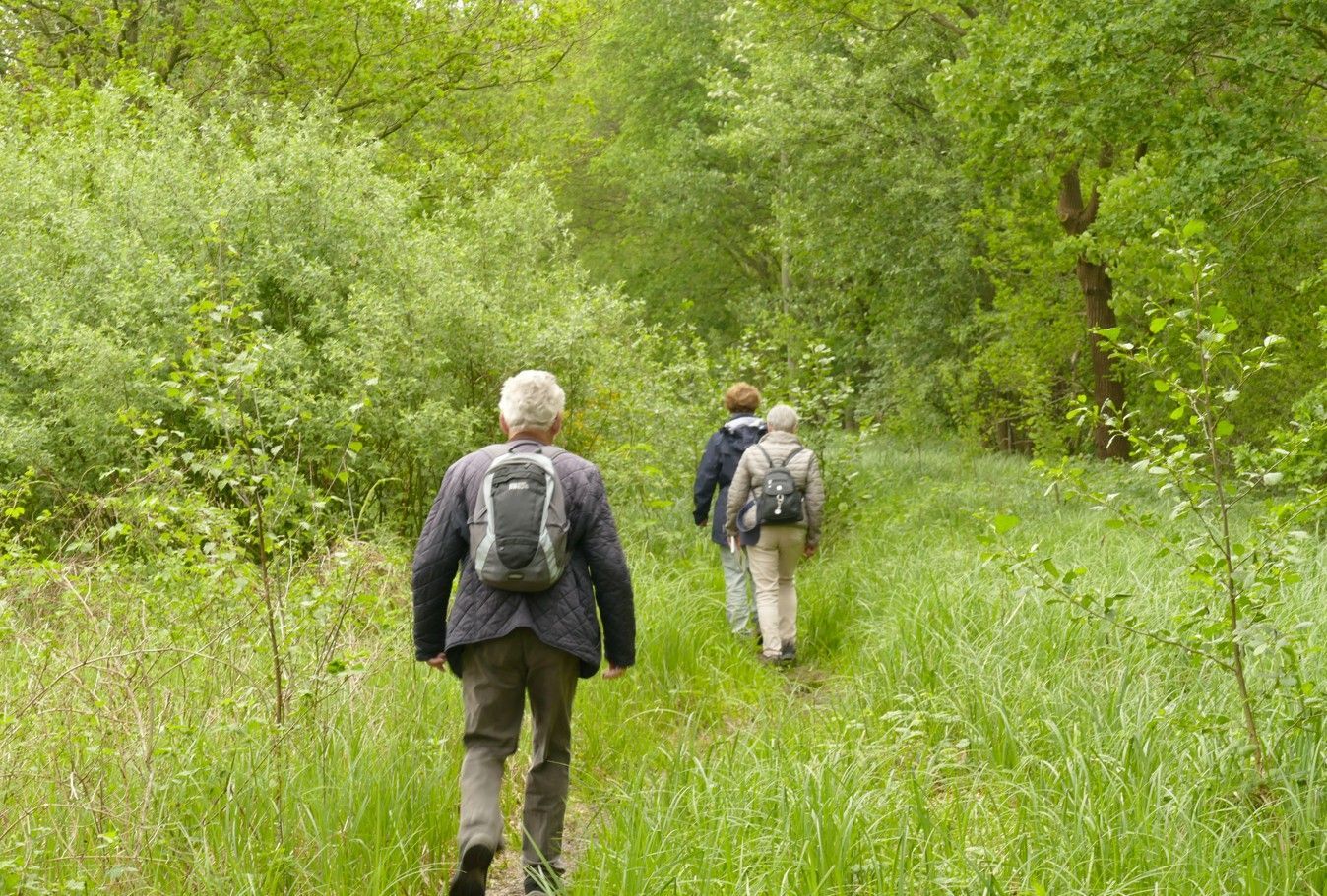 Drie mensen wandelen met rugzakken over een graspad door een groen bos.