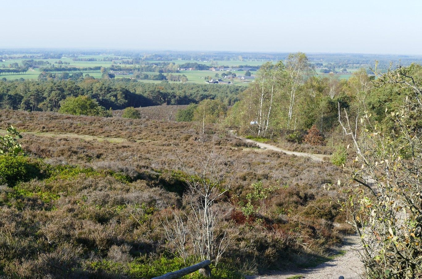 Een landschapsfoto met uitzicht over een heideveld met struiken en bomen, richting een vlakke, groene vallei in de verte.