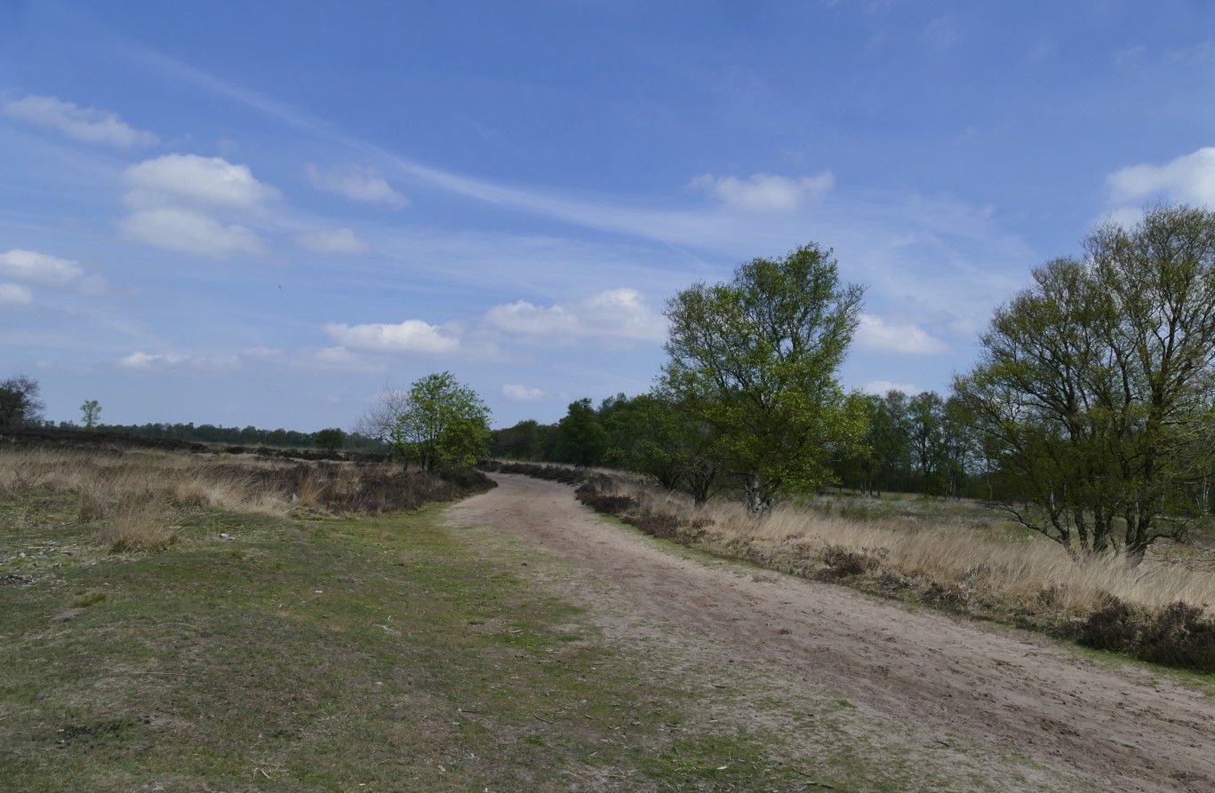 Een zandpad slingert door een veld met bomen onder een blauwe hemel met wolken.