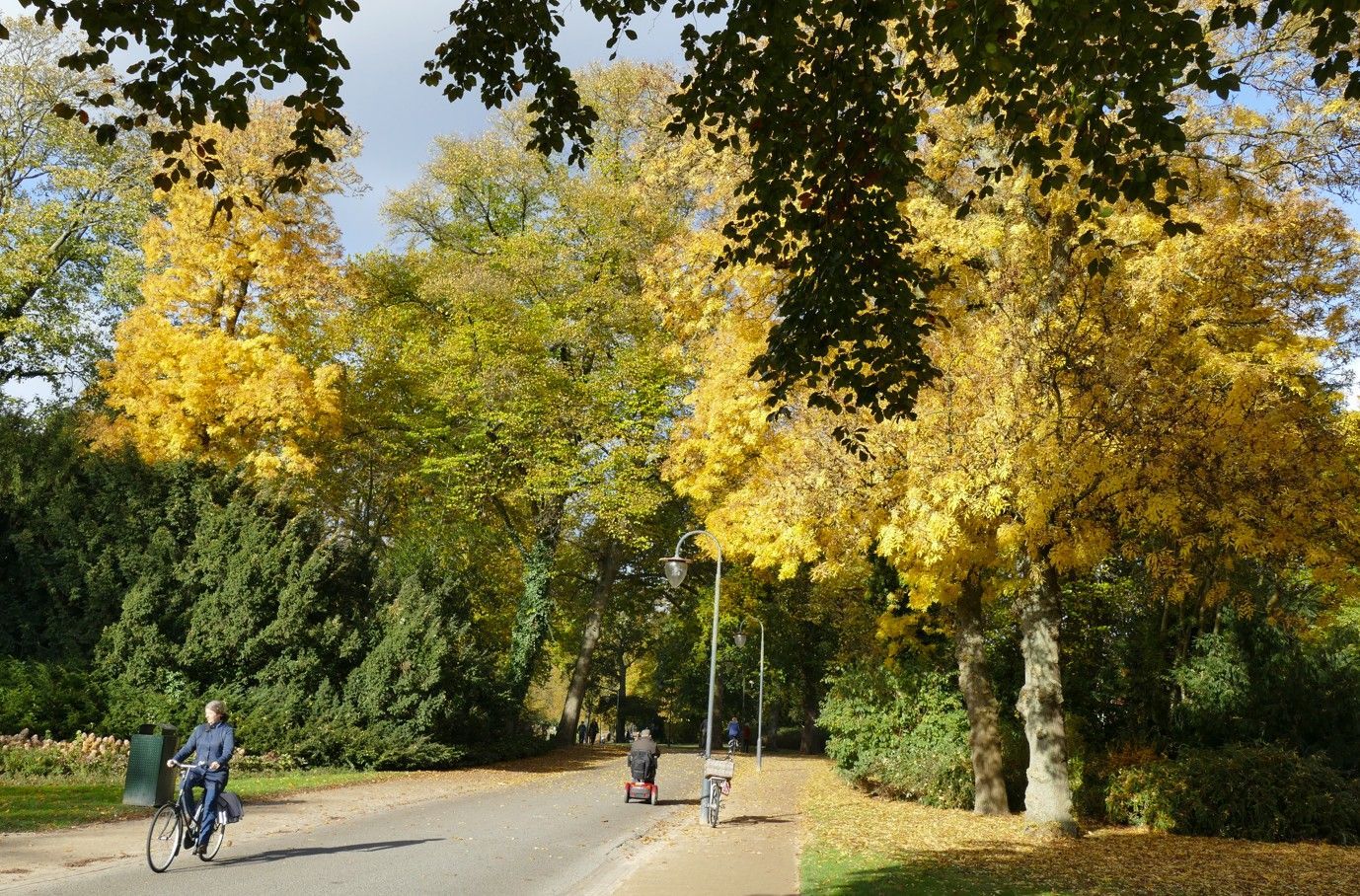 Pad door het park met fietsers. Herfstbladeren in gele en groene tinten.