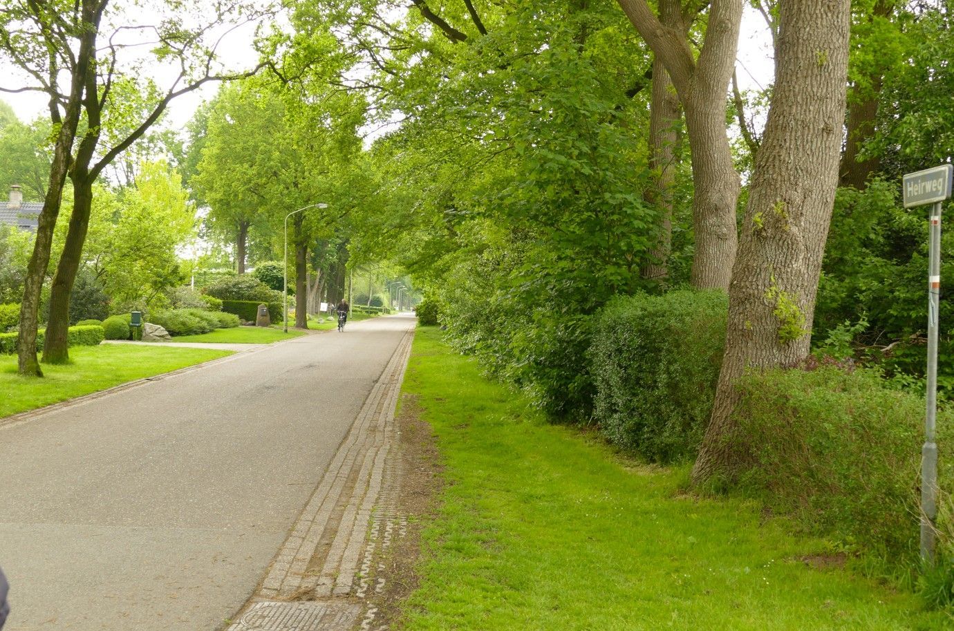 Verharde weg met groene bomen en gras, en een straatnaambord.