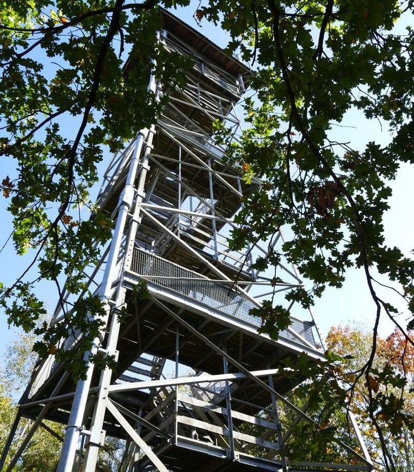 Een hoge, metalen observatietoren met trappen, van onderaf gezien door de takken van bomen tegen een blauwe hemel.
