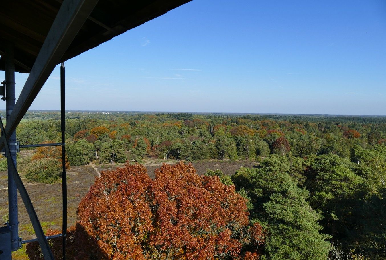 Een uitzicht vanaf een hoge uitkijktoren over een uitgestrekt bos met bomen in herfstkleuren onder een blauwe hemel.