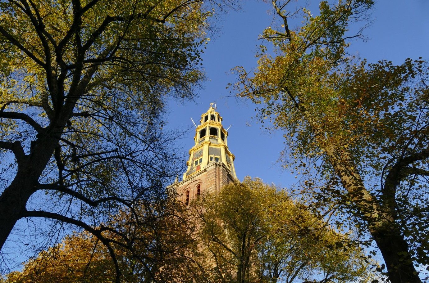 Toren met gouden top, omlijst door herfstbladeren tegen een blauwe hemel.