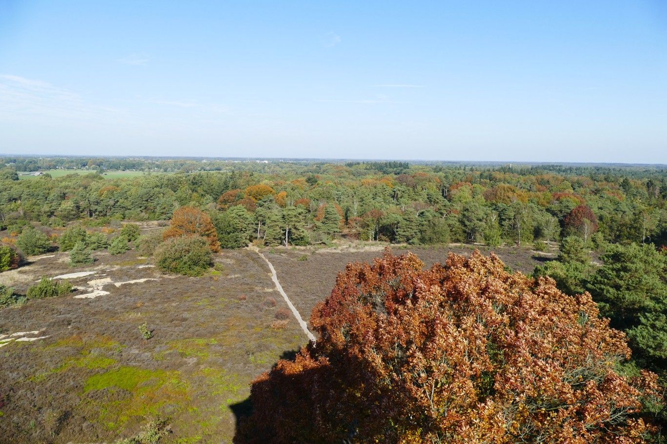 Een hoog perspectief van een uitgestrekt landschap met heide op de voorgrond en  een zandpad.