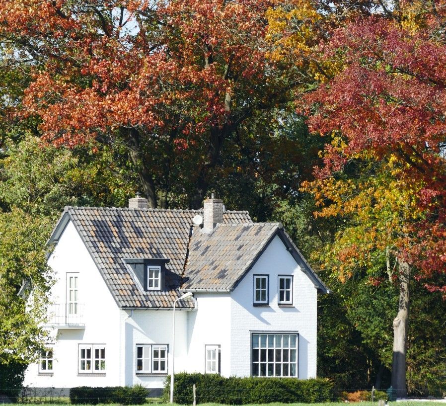 Een wit, twee verdiepingen tellend huis met een grijs pannendak, omgeven door kleurrijke herfstbomen.