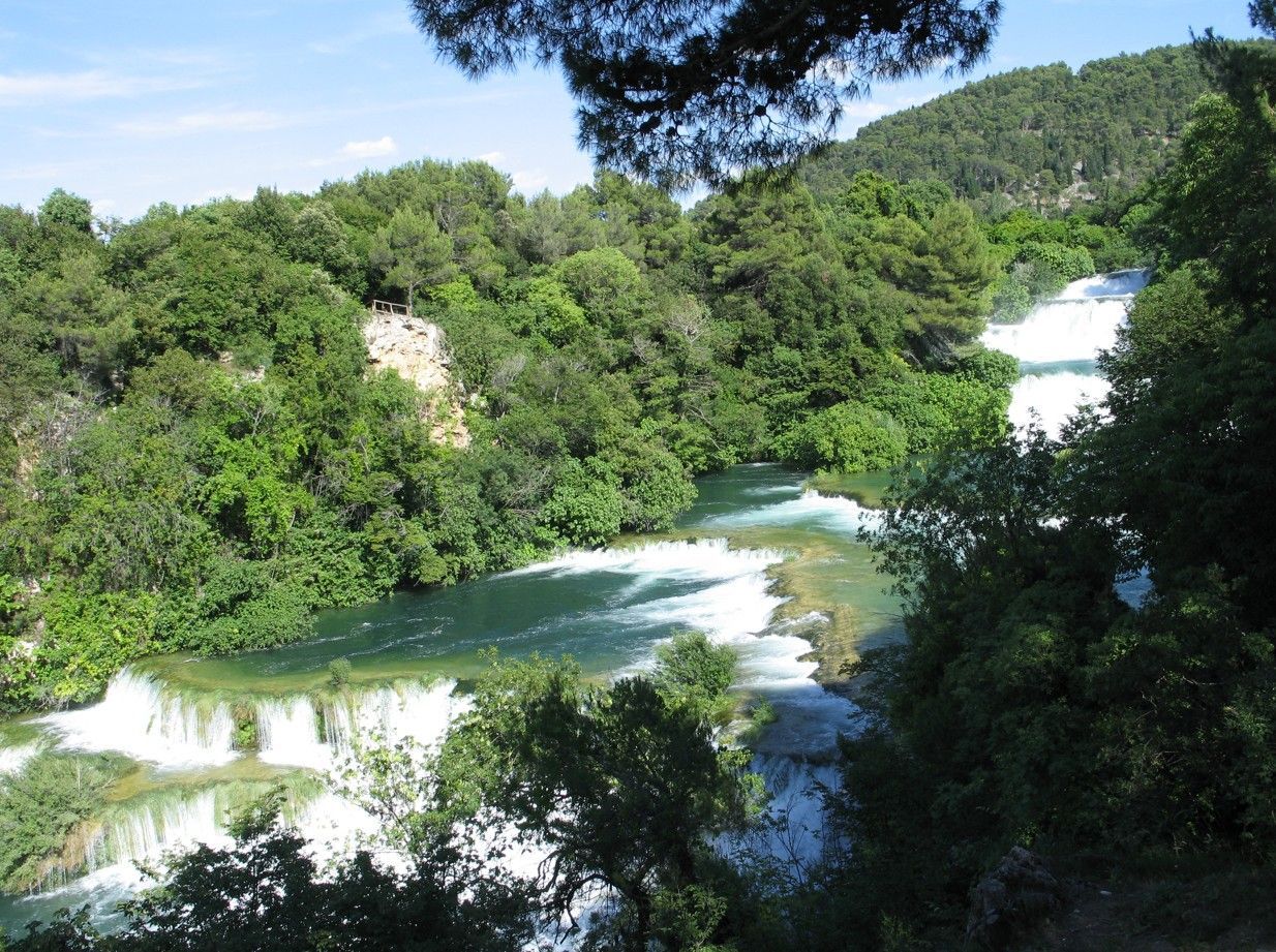 Een waterval die door een weelderig groen bos naar beneden stort.