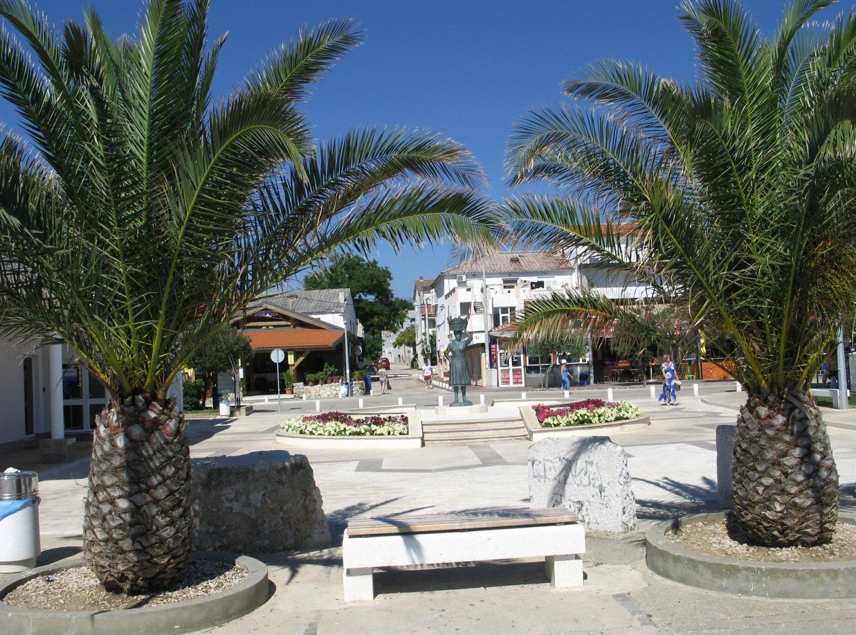Palmbomen omlijsten een zonnig plein met gebouwen, een standbeeld en een bankje.