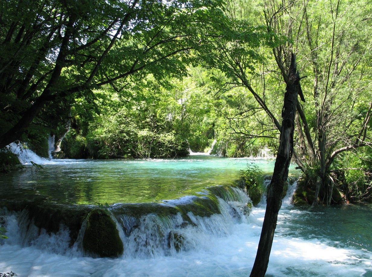 Het turquoise water stroomt kabbelend over een kleine waterval, omgeven door weelderig groen en bomen.